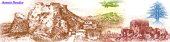 Aounist Paradise Image